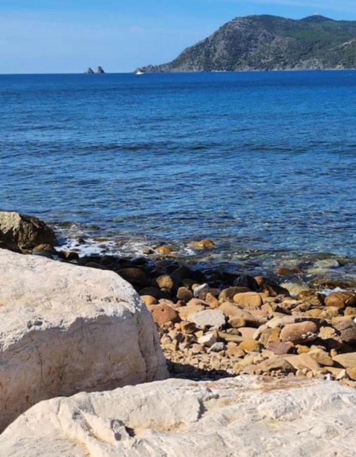 Studio Climatise Avec Jardin Et Plage A 250M Saint-Mandrier-sur-Mer Dış mekan fotoğraf